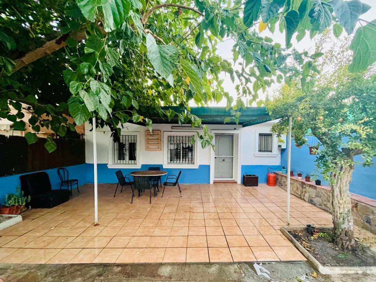 Estudio Adosado Acogedor Con Jardin, Barbacoa Y Parking Privado Αλικάντε Εξωτερικό φωτογραφία