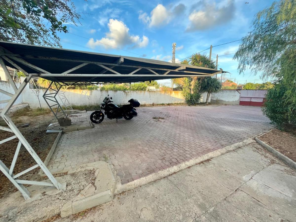 Estudio Adosado Acogedor Con Jardin, Barbacoa Y Parking Privado Αλικάντε Εξωτερικό φωτογραφία